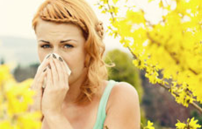 Reduce Allergies in Your Home By Reducing Dust