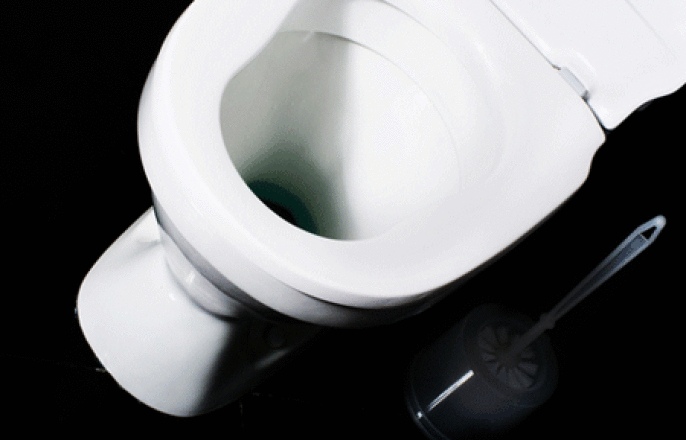 A Homeowner’s Guide to Troubleshooting Toilet Flapper Problems
