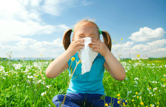 Oklahoma Allergy Season Tips