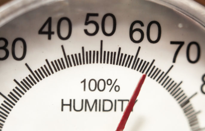 A Guide to Managing Humidity Levels by the Season