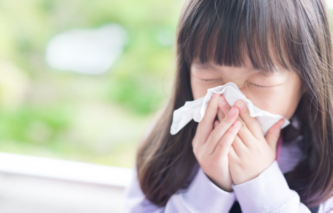 How to Combat Your Allergies with Your HVAC System