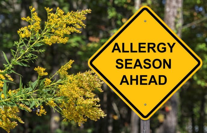 How to Prepare for Fall Allergens